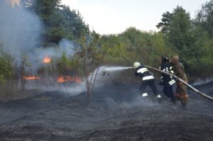 тушить пожар в лесу, фото ГСЧС