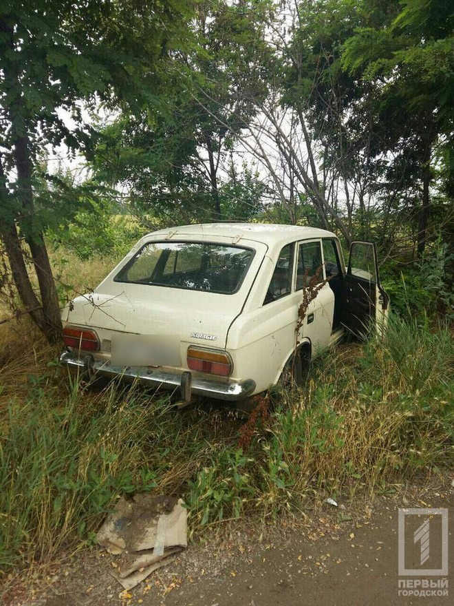 фото http://1tv.kr.ua, водитель автомобиля умер