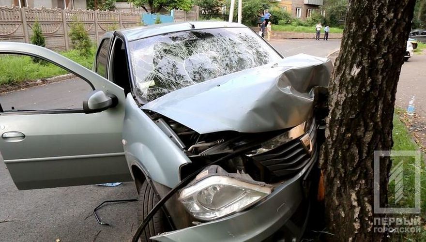 фото http://1tv.kr.ua, ДТП "Dacia Logan" врезался в дерево