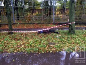 смертельное ДТП сбили женщину, фото http://1tv.kr.ua