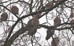 ef6e1a51e673bbc71487107ae30b5a02