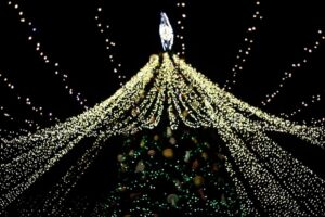 В Киеве горела главная елка страны (фото, видео)