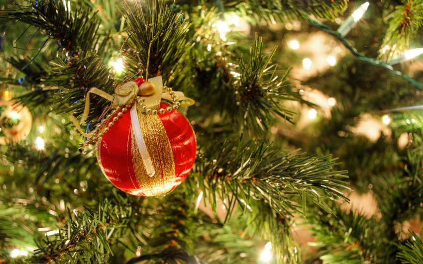 Елка, фото из открытых источников