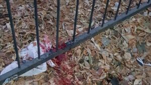 f4ee88fd_resizedscaled_1020to574