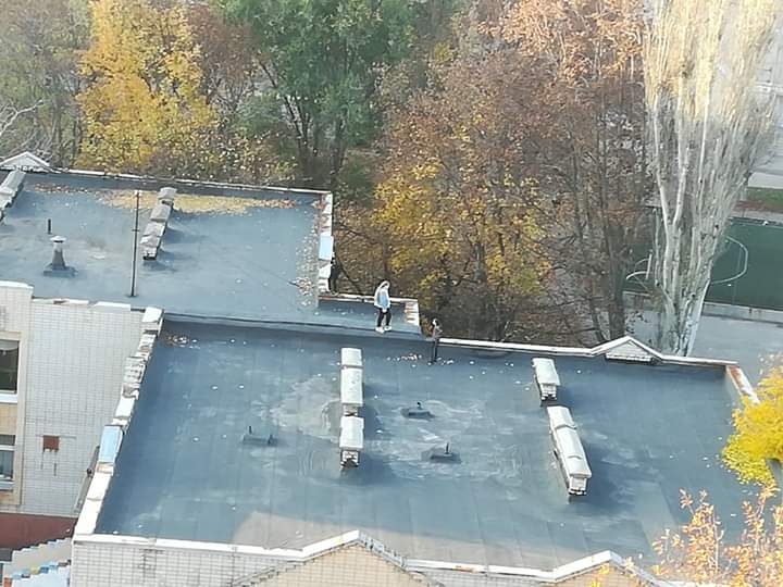 Школа