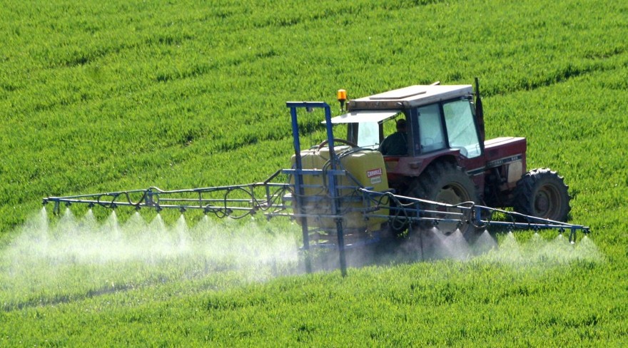 фермерское хозяйство, фото из открытого источника