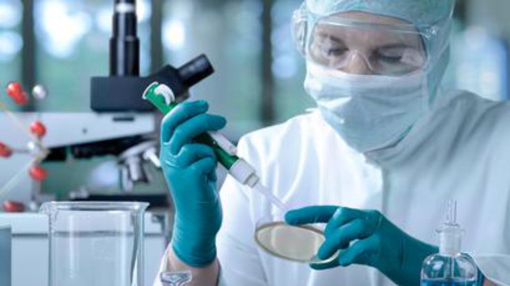 foto-iz-otkrytyh-istochnikov_rect_71141762483e83dbb1f29cf82bb88a1e