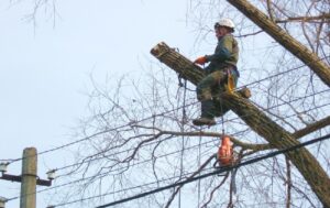 foto-zagotovka