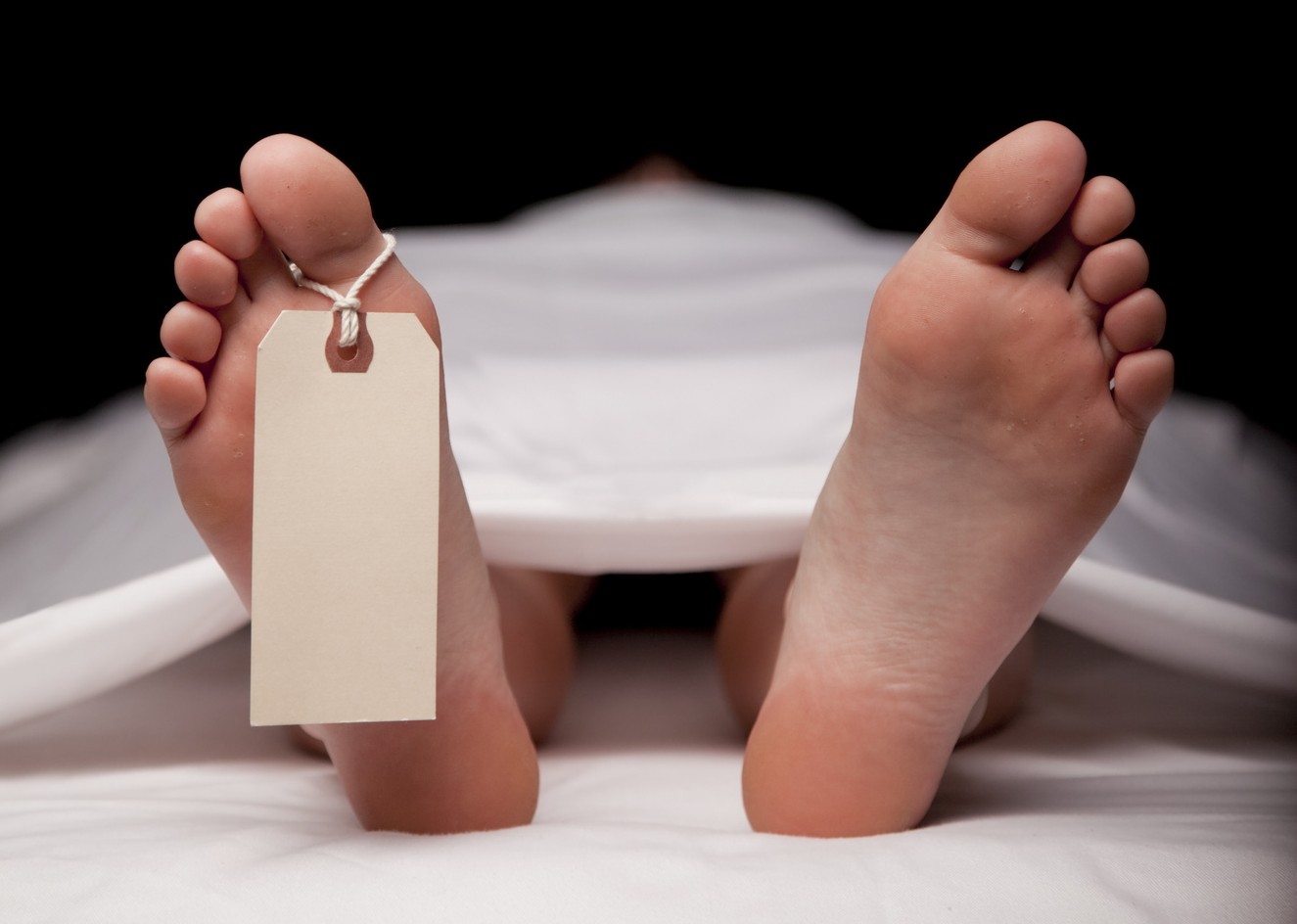 fotolia_14729347_subscription_monthly_m-e1476995571748_0