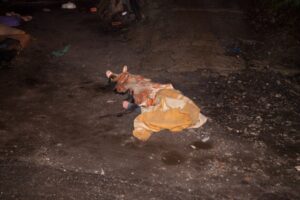 фото https://informator.dp.ua, труп в гараже в Днепре