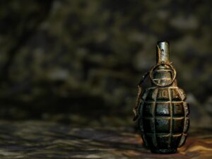 граната, фото из открытых источников