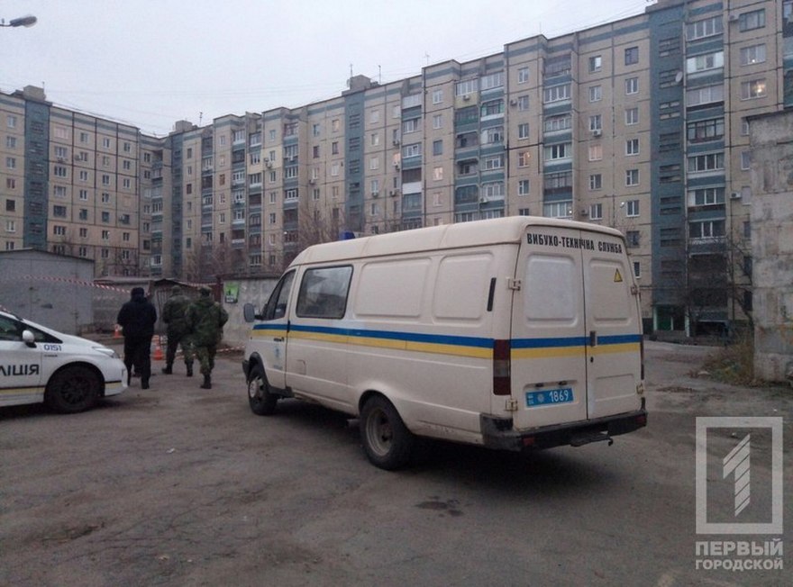 фото http://1tv.kr.ua, найти гранату на мусорнике