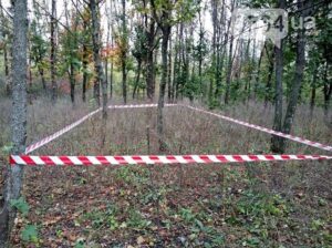 фото 0564.ua, граната в лесу