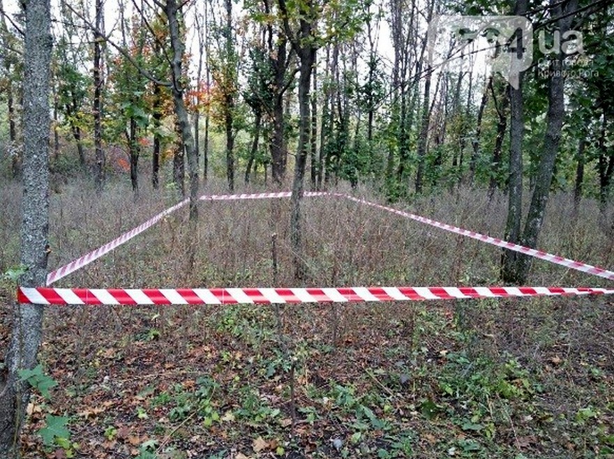 фото 0564.ua, граната в лесу