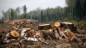 Украинцы хотят отменить печать курсовых и рефератов в ВУЗах