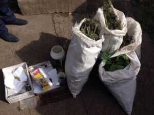 наркотики в пгт Илларионово