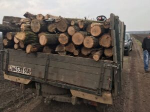 фото прокуратуры