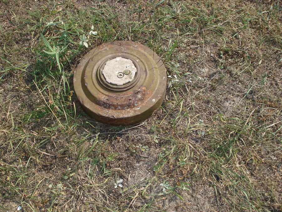 Грибники обнаружили арсенал боеприпасов