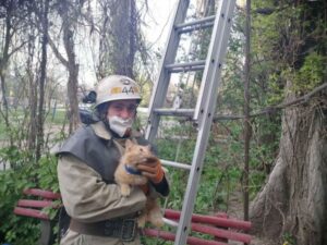 В области спасали кота сразу 5 сотрудников ГСЧС (Фото)