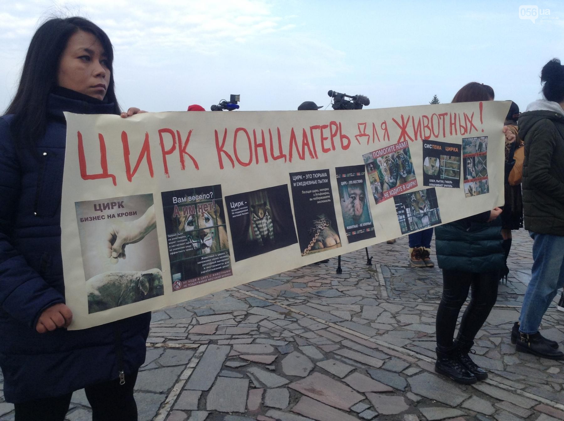 цирк протест