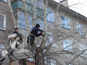 img_4889_1