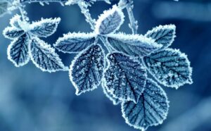 iney_1_13120113