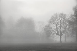 into-the-mist-june-marie-sobrito_0