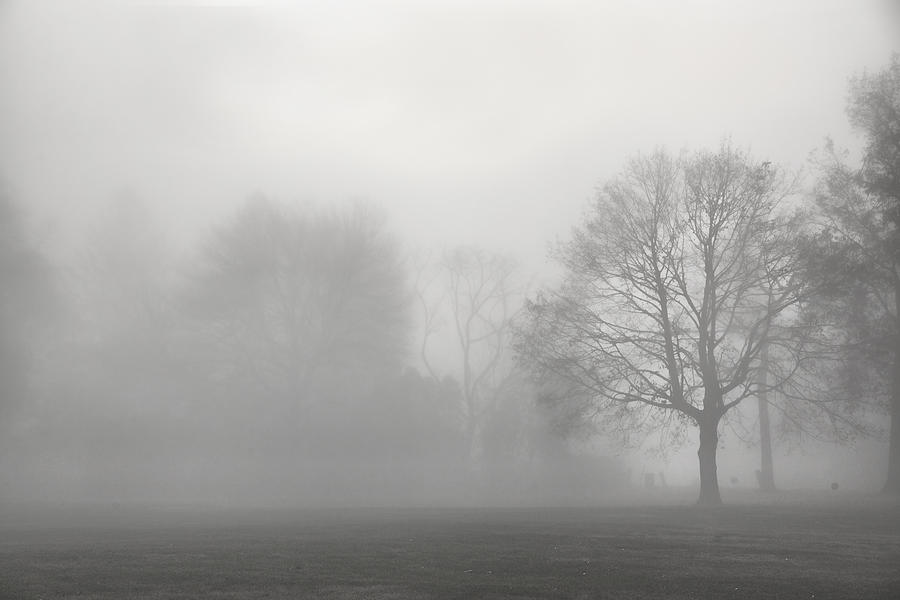 into-the-mist-june-marie-sobrito_0
