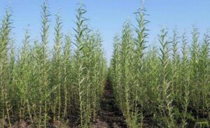 фото http://promsnab123.com.ua