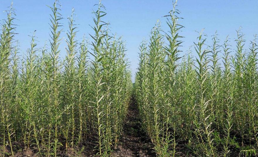 фото http://promsnab123.com.ua