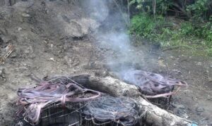 Ночью на Гагарина поймали воров кабеля