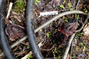 кабель, фото из открытых источников