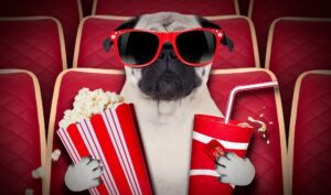 ТОП-5 фильмов, которые уже сегодня покажут в кинотеатрах Днепра (трейлеры)