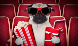 Какие новые фильмы покажут в кинотеатрах Днепра (трейлеры)