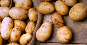 картофель