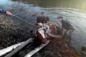 фото ГСЧС