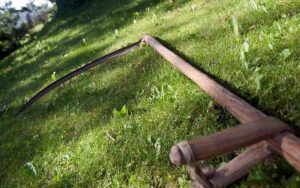 коса на траве, фото и открытых источников