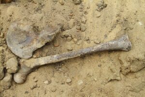 кости человека, фото из открытых источников