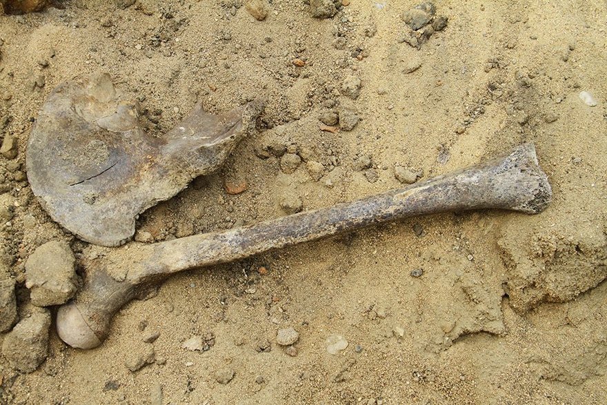 кости человека, фото из открытых источников