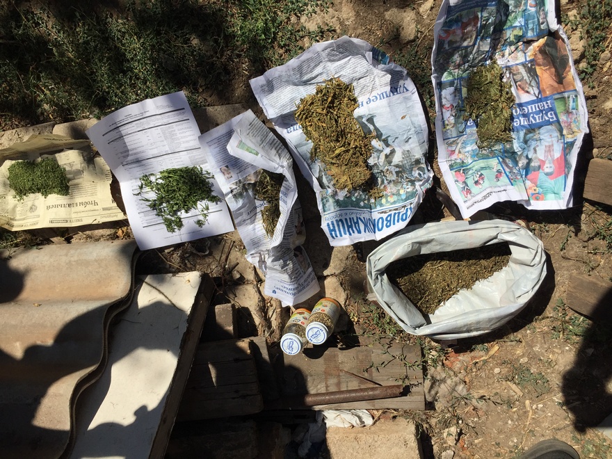 фото управление, наркотики