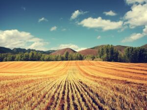 land_2