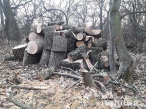 Под Днепром на “горячем” задержали лесных браконьеров (фото)