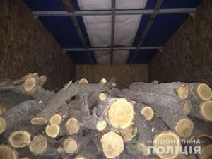 На Днепропетровщине на “горячем” поймали лесного браконьера (фото)