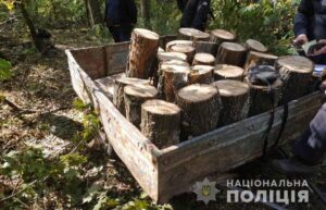На Днепропетровщине полицейские задержали “черных” лесорубов (фото)
