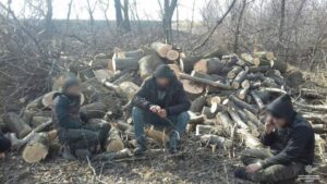 фото полиции