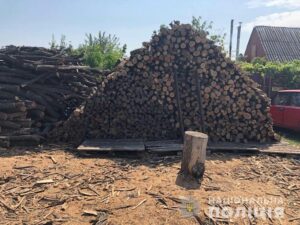 Полицейские задержали “черных” лесорубов (фото)