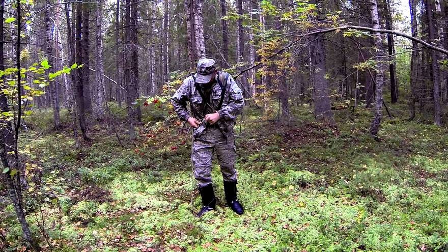лесник