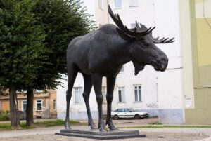 Внедорожник столкнулся с лосем, фото из открытых источников