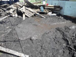 Природная стихия разрушила приют для животных на Днепропетровщине