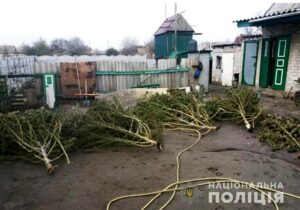фото полиции